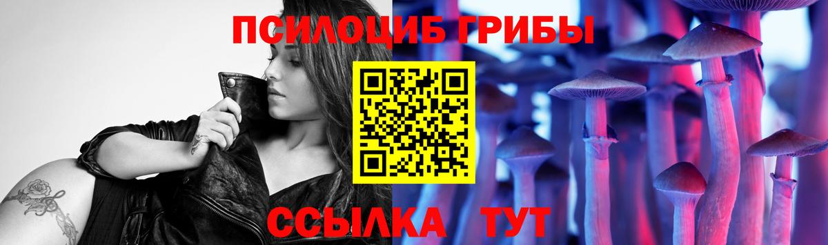 Псилоцибиновые грибы Cubensis  Вход с VPN  Сатка 